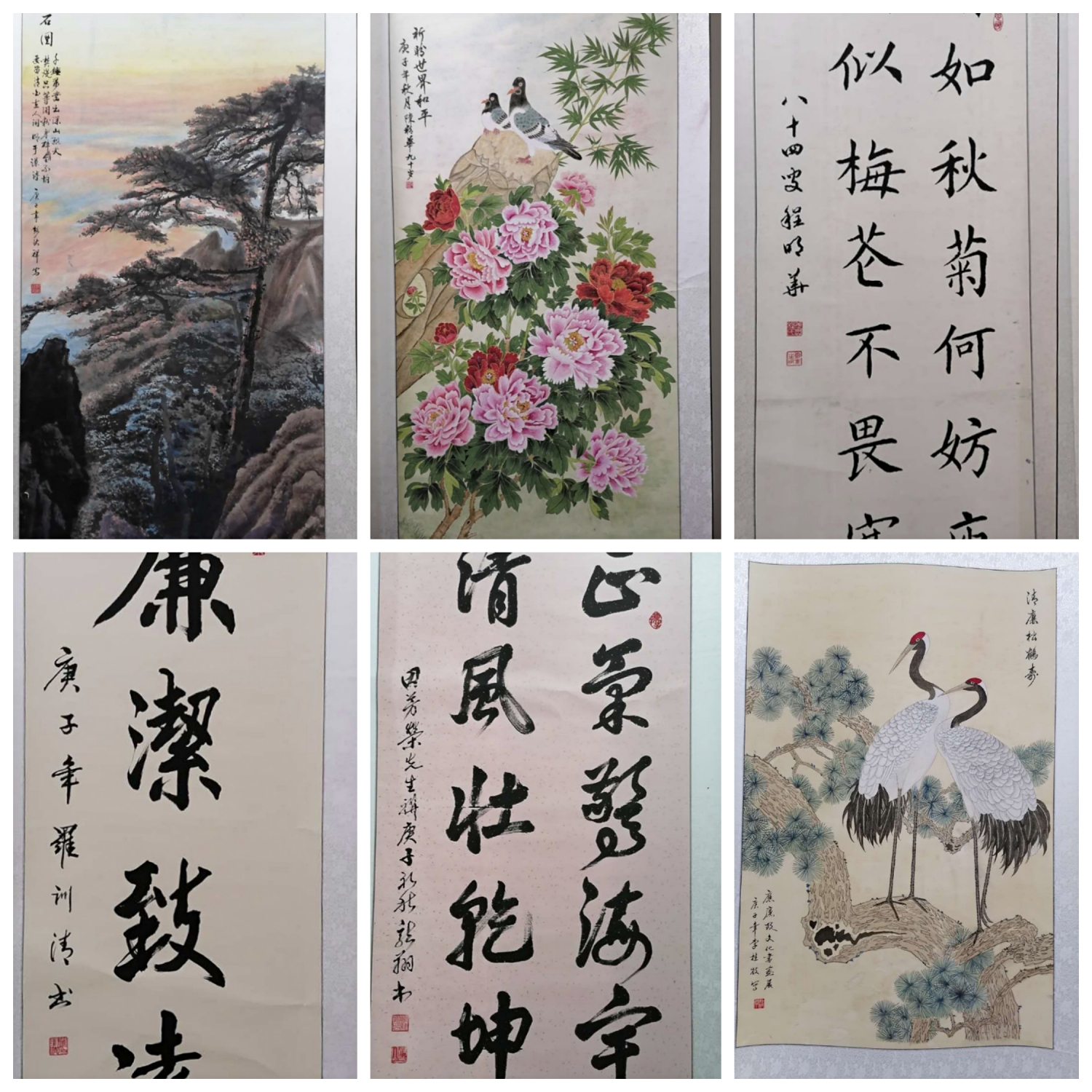 图片1.png